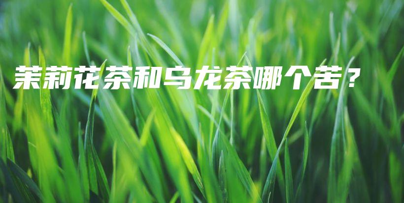 茉莉花茶和烏龍茶哪個(gè)苦？插圖