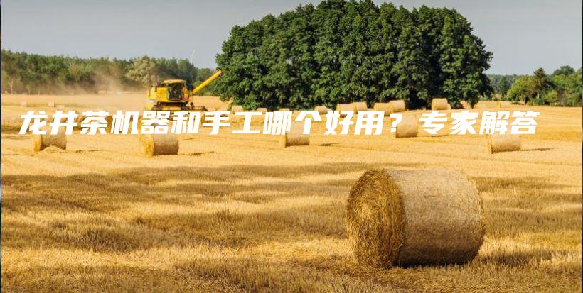龍井茶機(jī)器和手工哪個(gè)好用？專家解答插圖