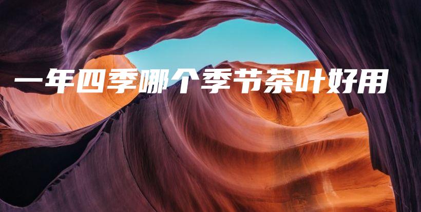 一年四季哪個(gè)季節(jié)茶葉好用插圖