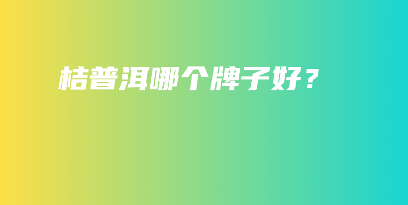 桔普洱哪個牌子好？插圖