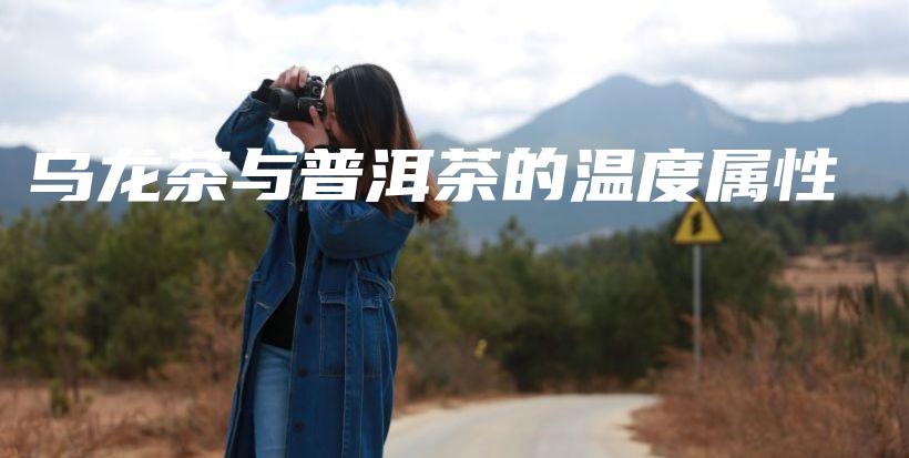烏龍茶與普洱茶的溫度屬性插圖