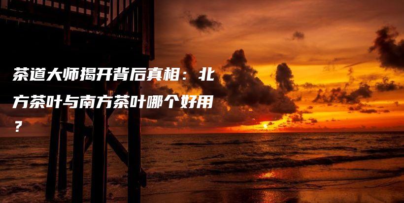 茶道大師揭開背后真相：北方茶葉與南方茶葉哪個好用？插圖