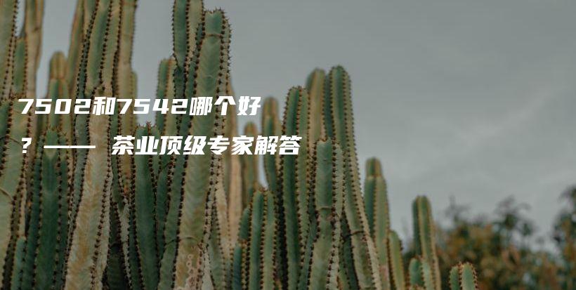 7502和7542哪個好？—— 茶業(yè)頂級專家解答插圖