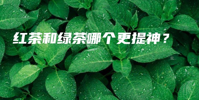 紅茶和綠茶哪個(gè)更提神？插圖