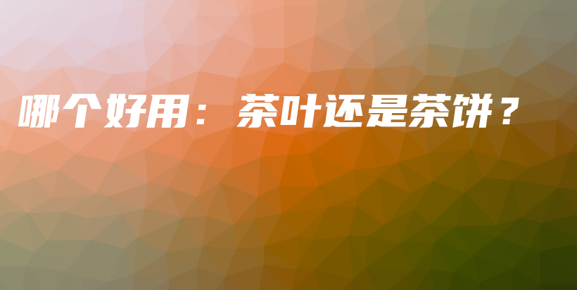 哪個(gè)好用：茶葉還是茶餅？插圖