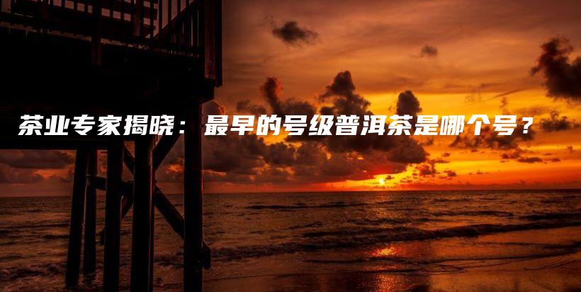 茶業(yè)專家揭曉：最早的號級普洱茶是哪個號？插圖