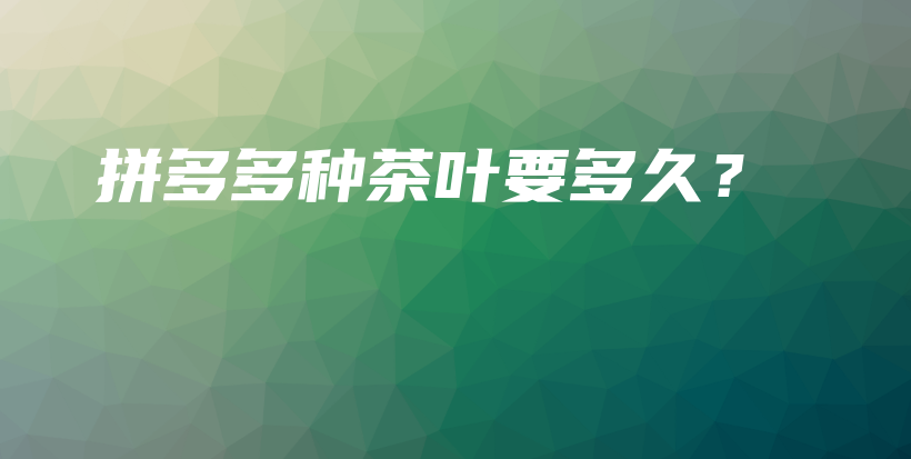 拼多多種茶葉要多久？插圖