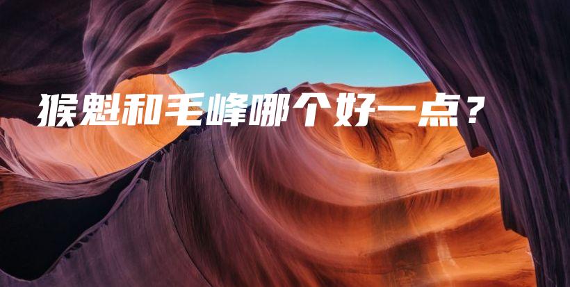 猴魁和毛峰哪個好一點？插圖
