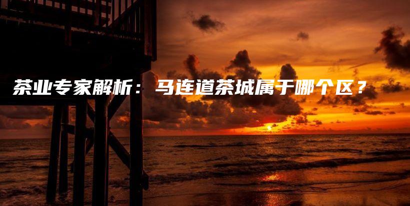 茶業(yè)專家解析：馬連道茶城屬于哪個(gè)區(qū)？插圖