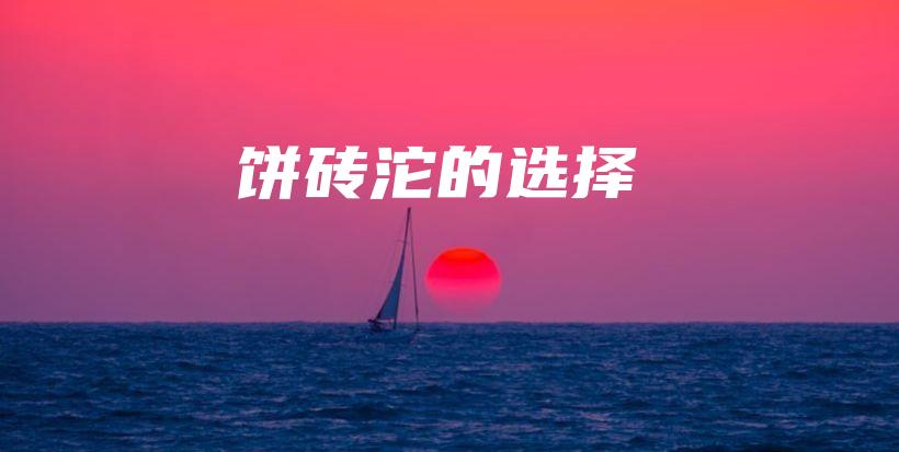 餅磚沱的選擇插圖