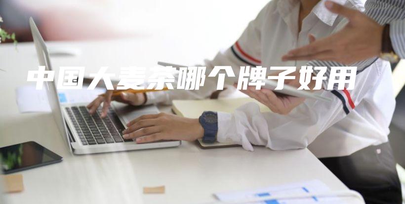 中國大麥茶哪個牌子好用插圖