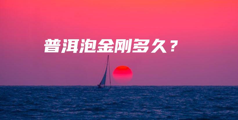 普洱泡金剛多久？插圖
