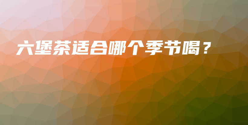 六堡茶適合哪個(gè)季節(jié)喝？插圖