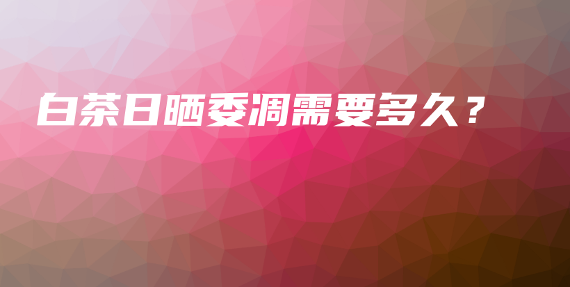 白茶日曬委凋需要多久？插圖