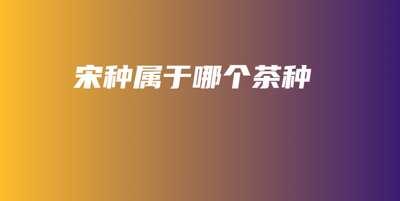宋種屬于哪個茶種插圖