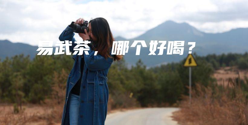 易武茶，哪個(gè)好喝？插圖