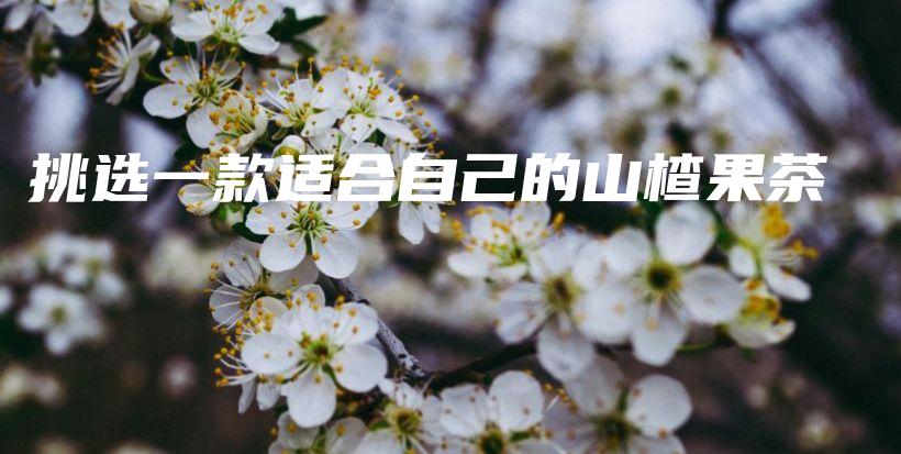 挑選一款適合自己的山楂果茶插圖