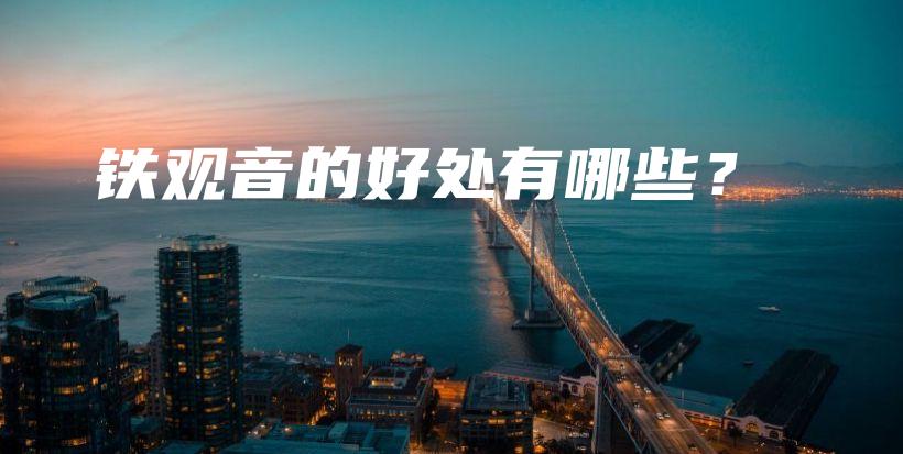 鐵觀音的好處有哪些？插圖