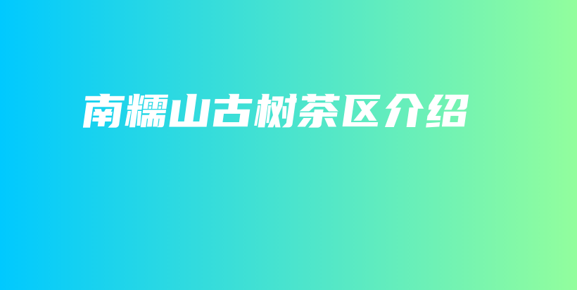 南糯山古樹(shù)茶區(qū)介紹插圖