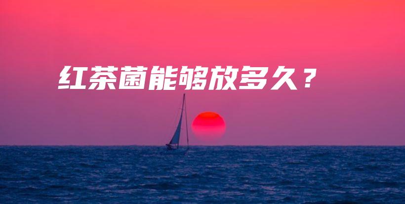 紅茶菌能夠放多久？插圖