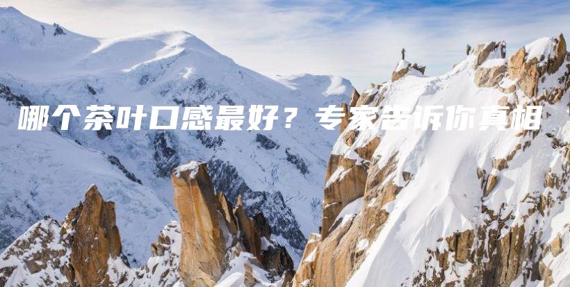 哪個茶葉口感最好？專家告訴你真相插圖