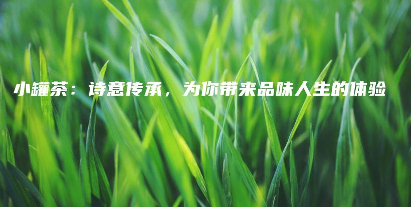 小罐茶：詩(shī)意傳承，為你帶來(lái)品味人生的體驗(yàn)插圖