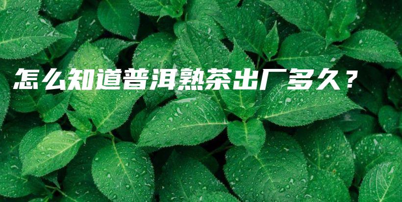 怎么知道普洱熟茶出廠多久？插圖