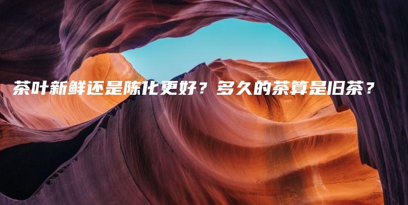 茶葉新鮮還是陳化更好？多久的茶算是舊茶？插圖