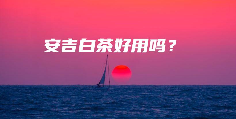 安吉白茶好用嗎？插圖
