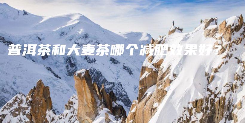 普洱茶和大麥茶哪個(gè)減肥效果好？插圖