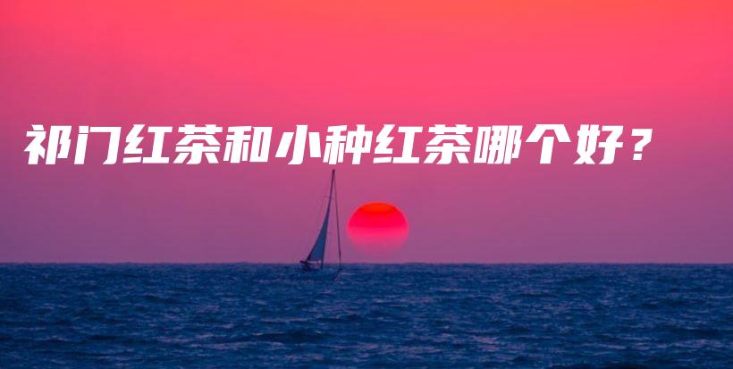祁門紅茶和小種紅茶哪個好？插圖