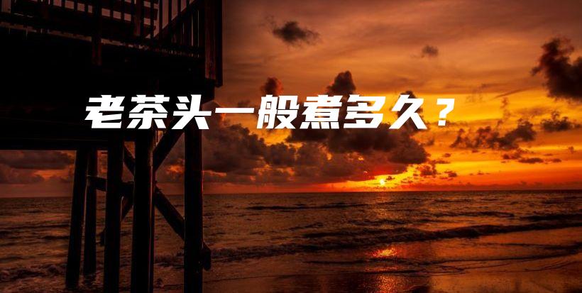 老茶頭一般煮多久？插圖