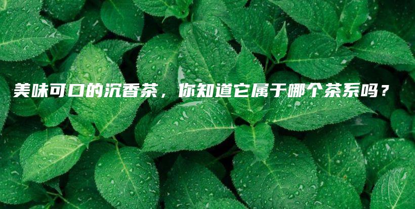 美味可口的沉香茶，你知道它屬于哪個(gè)茶系嗎？插圖