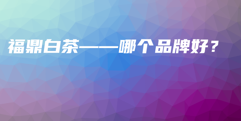 福鼎白茶——哪個品牌好？插圖