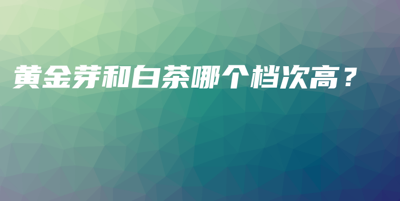 黃金芽和白茶哪個(gè)檔次高？插圖