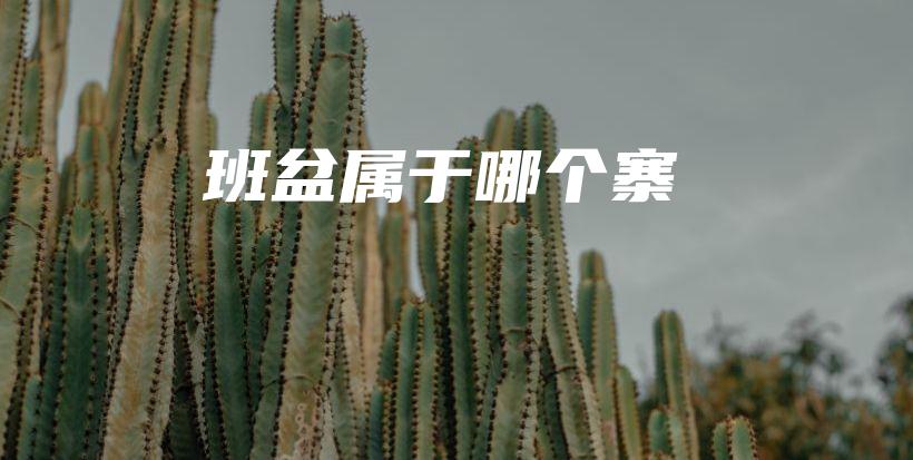 班盆屬于哪個(gè)寨插圖