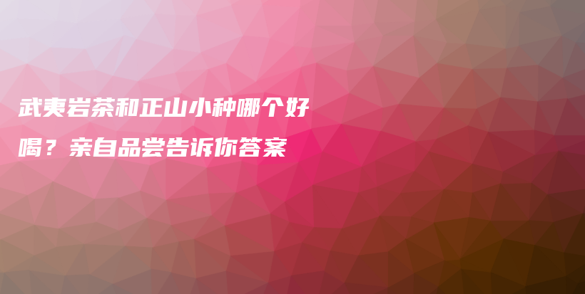 武夷巖茶和正山小種哪個(gè)好喝？親自品嘗告訴你答案插圖