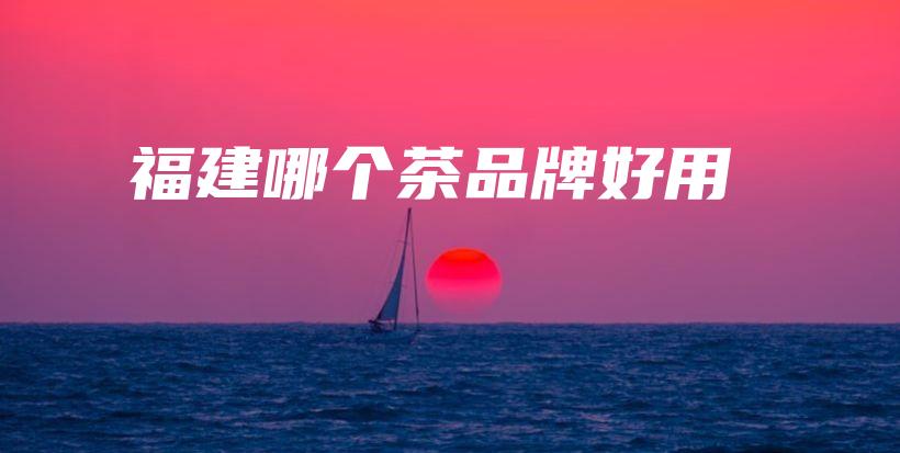 福建哪個茶品牌好用插圖