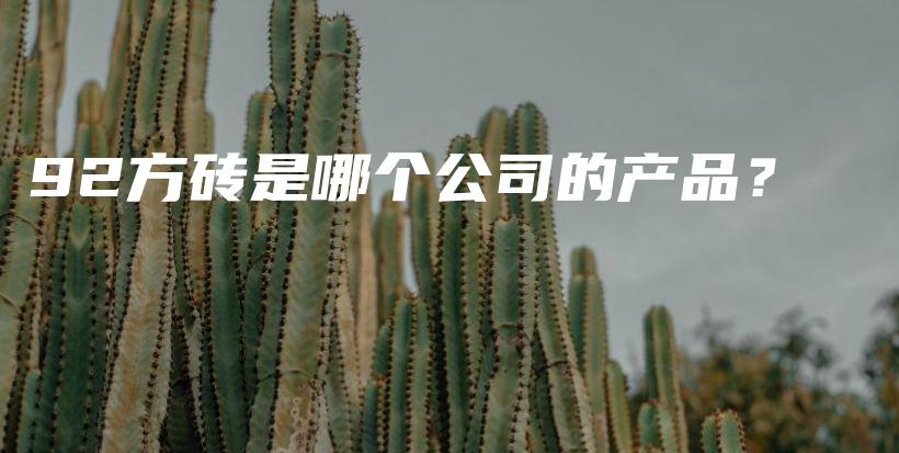 92方磚是哪個公司的產(chǎn)品？插圖