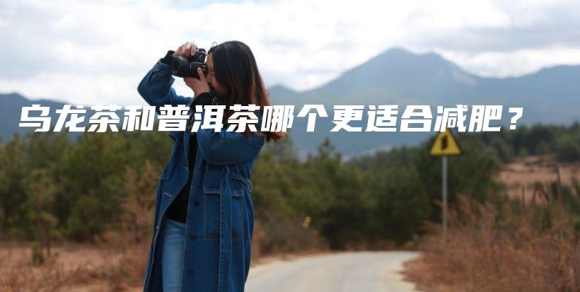 烏龍茶和普洱茶哪個更適合減肥？插圖