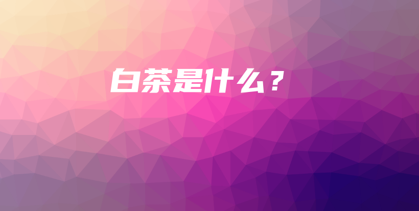 白茶是什么？插圖