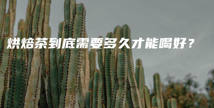 烘焙茶到底需要多久才能喝好？插圖