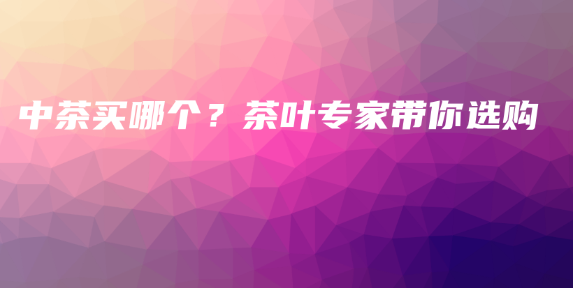 中茶買哪個？茶葉專家?guī)氵x購插圖