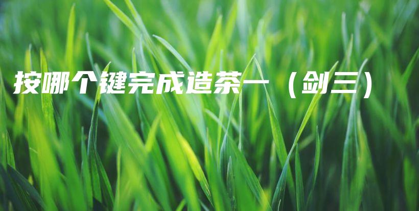 按哪個(gè)鍵完成造茶一（劍三）插圖