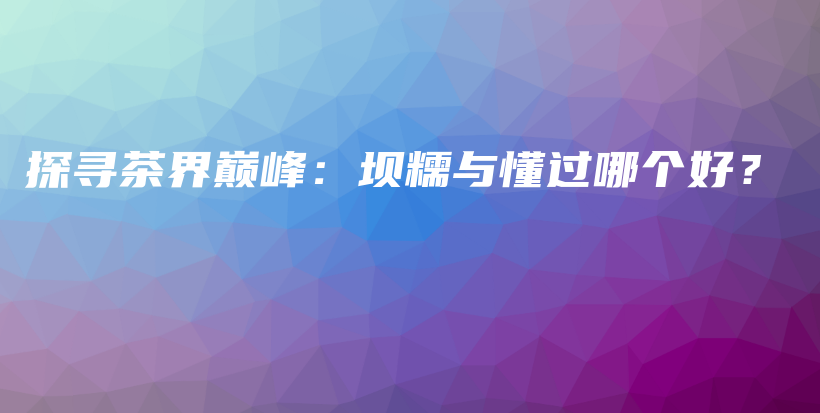 探尋茶界巔峰：壩糯與懂過哪個好？插圖
