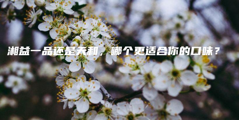 湘益一品還是天和，哪個更適合你的口味？插圖
