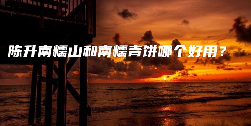 陳升南糯山和南糯青餅?zāi)膫€好用？插圖