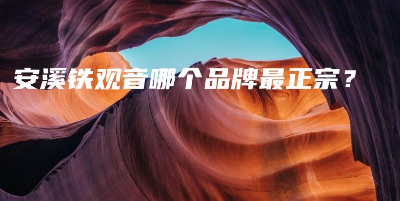 安溪鐵觀音哪個(gè)品牌最正宗？插圖