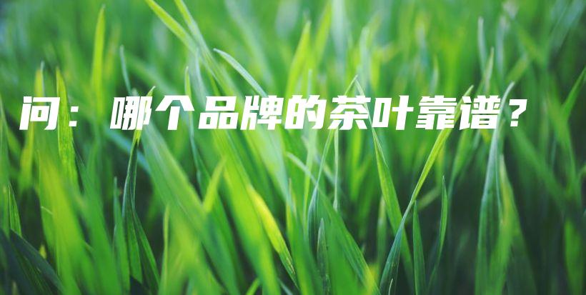 問：哪個品牌的茶葉靠譜？插圖