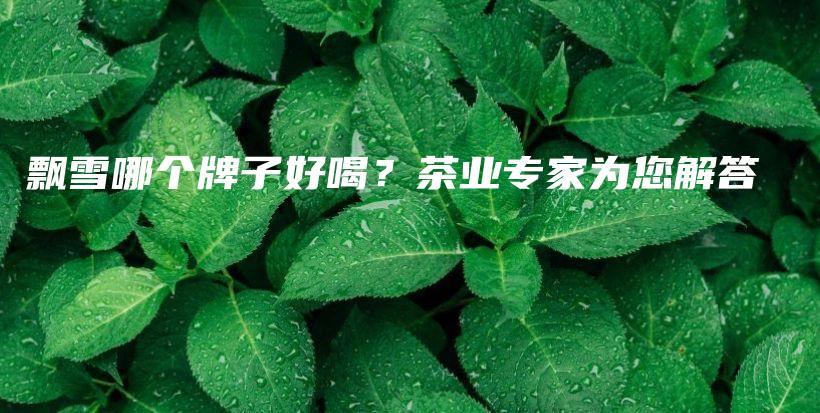 飄雪哪個(gè)牌子好喝？茶業(yè)專家為您解答插圖